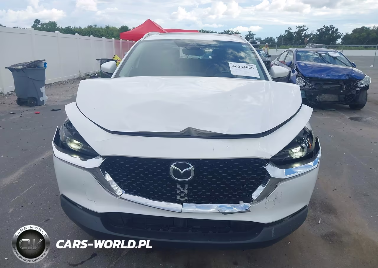 2020 Mazda Cx-30 Premium Package VIN:3MVDMBEM9LM129156 - 6