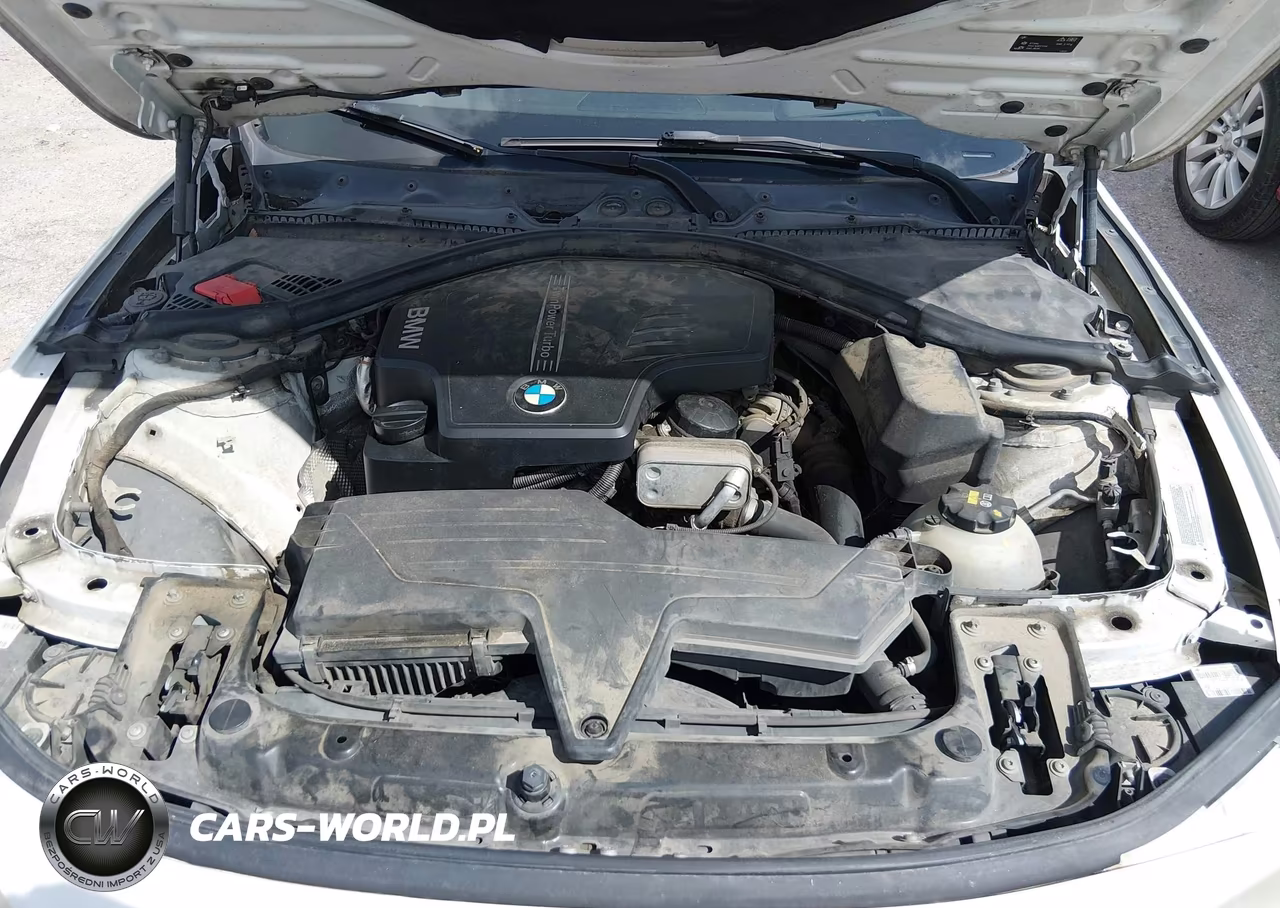 2015 BMW 428 Gran Coupe VIN:WBA4A5C53FG052593 - 10