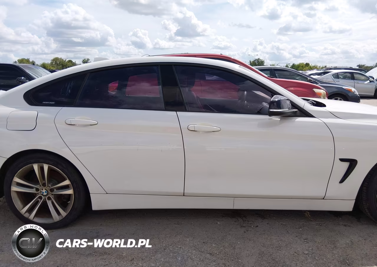 2015 BMW 428 Gran Coupe VIN:WBA4A5C53FG052593 - 13