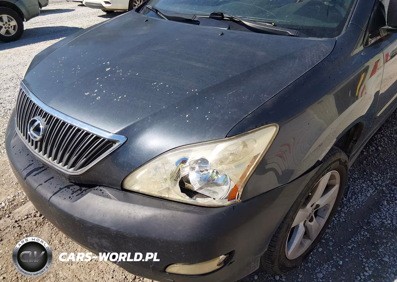 2006 Lexus Rx 330 VIN:2T2GA31U36C052389 - 6