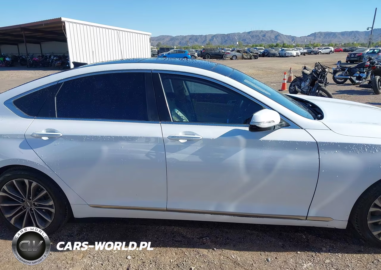 2015 Hyundai Genesis 3.8L VIN:KMHGN4JE9FU017782 - 12