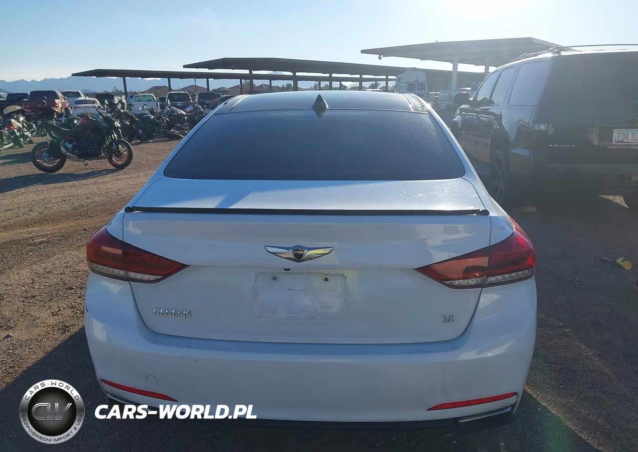 2015 Hyundai Genesis 3.8L VIN:KMHGN4JE9FU017782 - 15