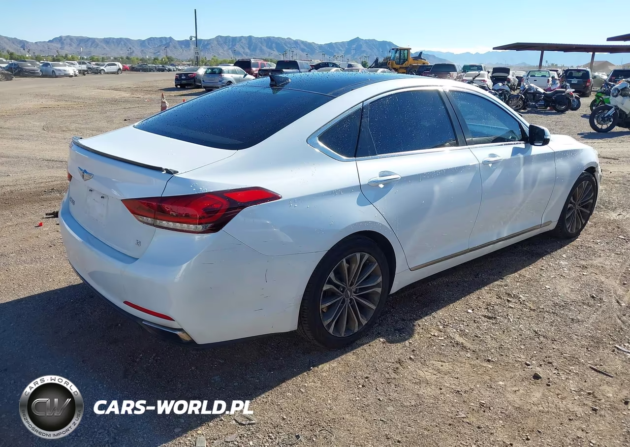 2015 Hyundai Genesis 3.8L VIN:KMHGN4JE9FU017782 - 4