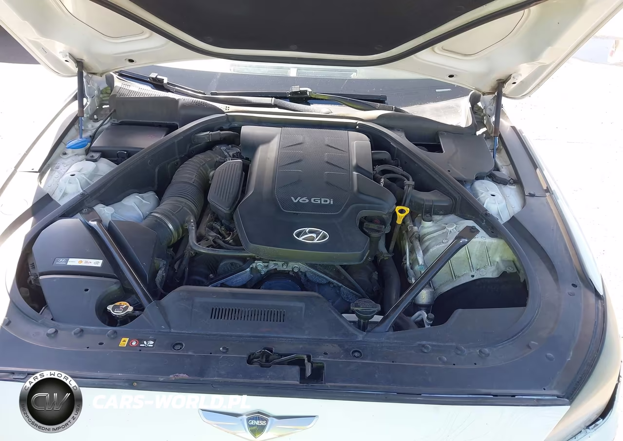 2015 Hyundai Genesis 3.8L VIN:KMHGN4JE9FU017782 - 9
