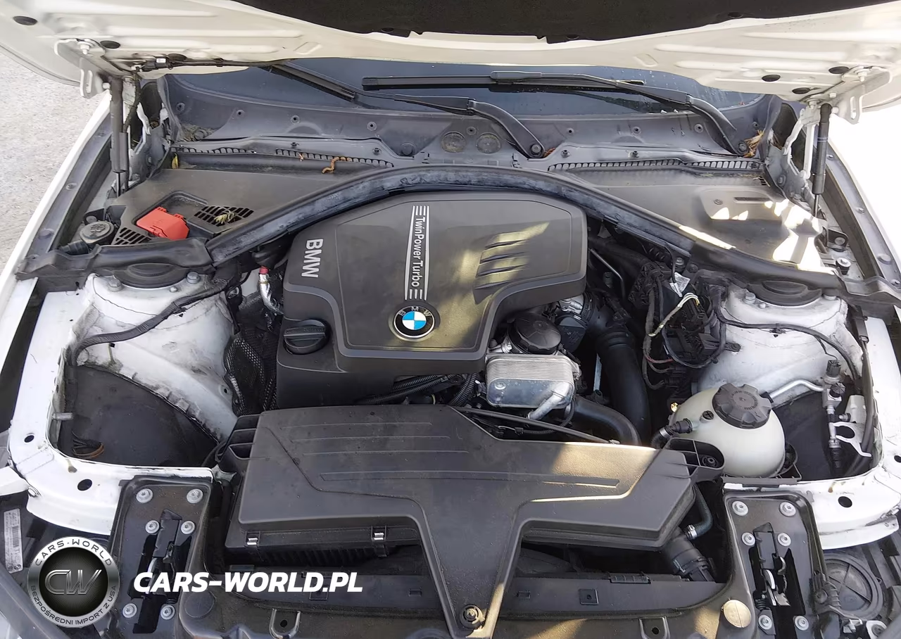 2013 BMW 320I VIN:WBA3B1C58DF078398 - 10