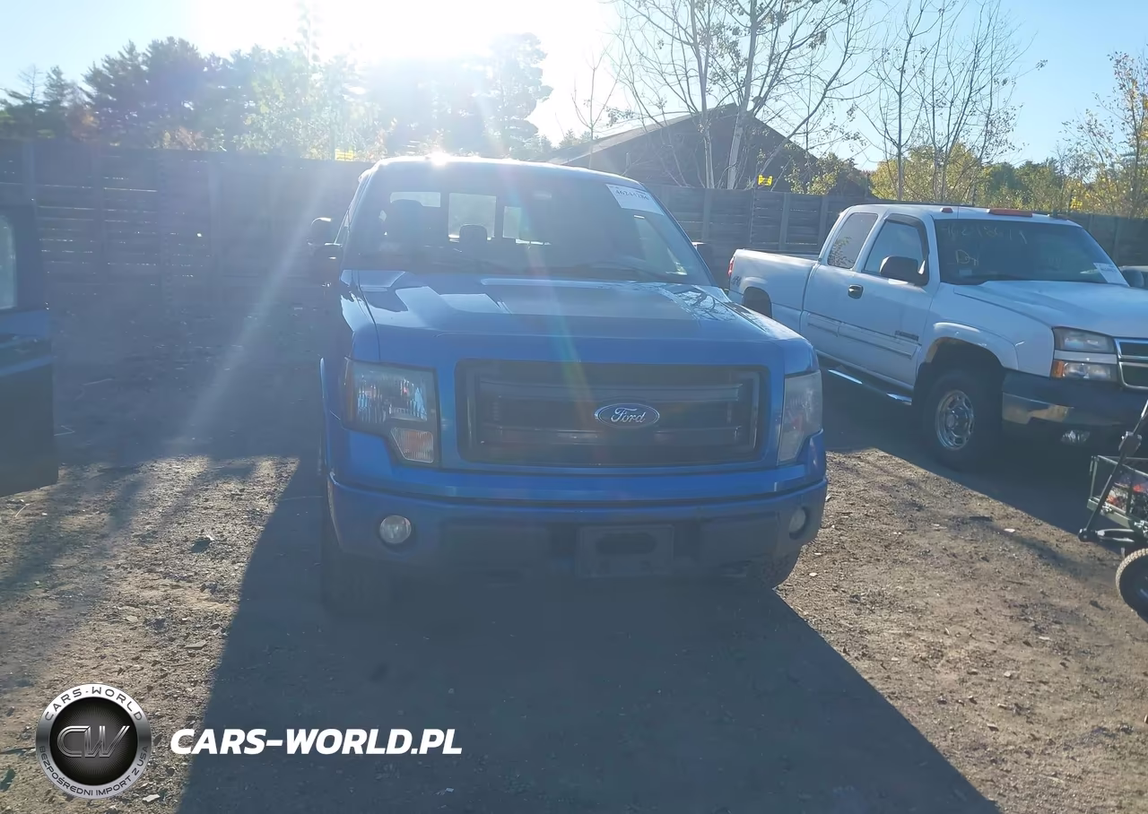 2013 Ford F-150 Fx4 VIN:1FTFW1EF7DFD28563 - 12