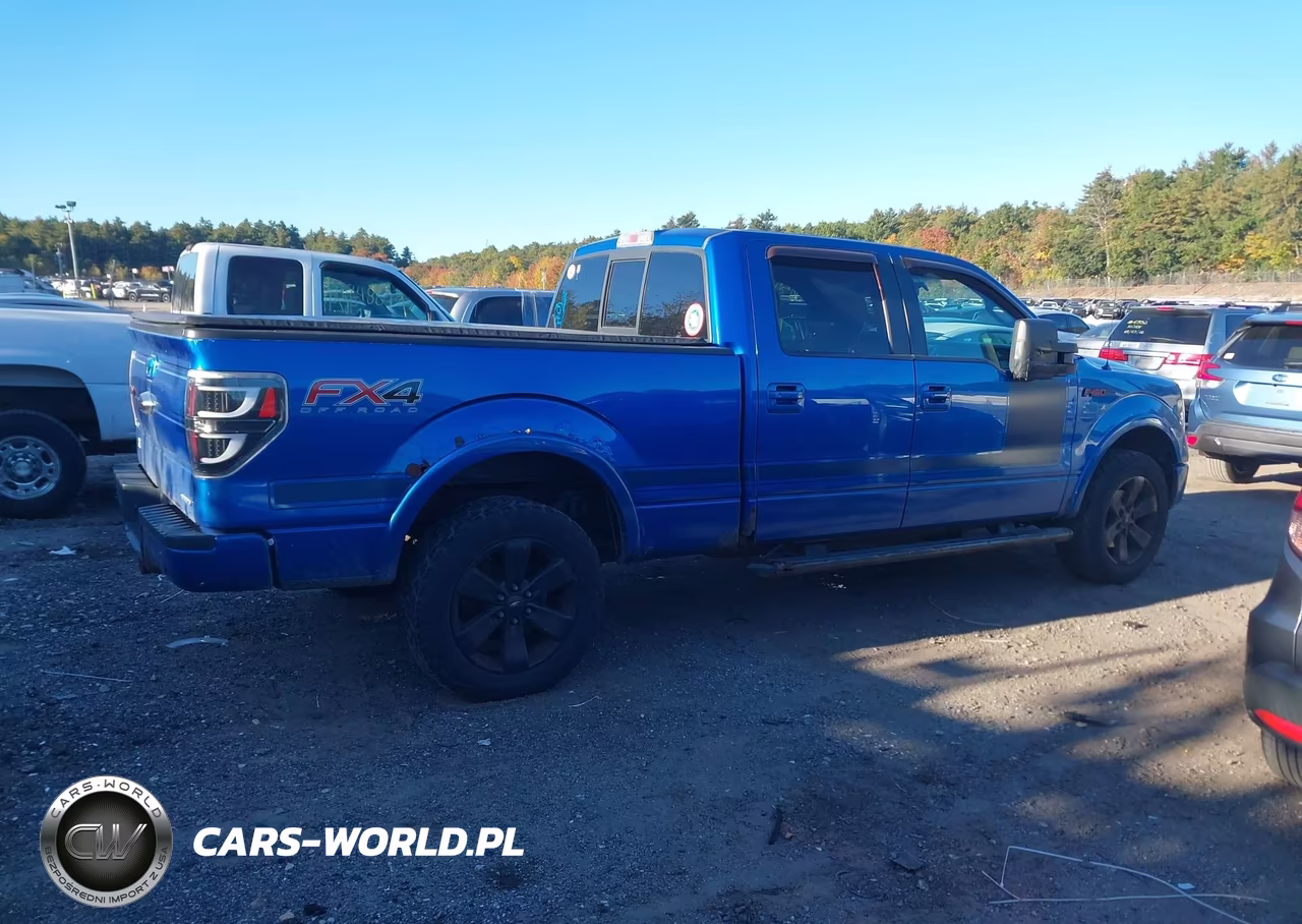 2013 Ford F-150 Fx4 VIN:1FTFW1EF7DFD28563 - 13