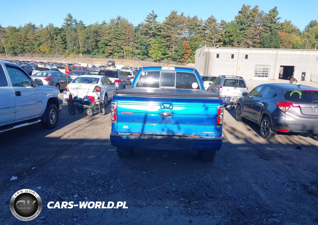 2013 Ford F-150 Fx4 VIN:1FTFW1EF7DFD28563 - 16