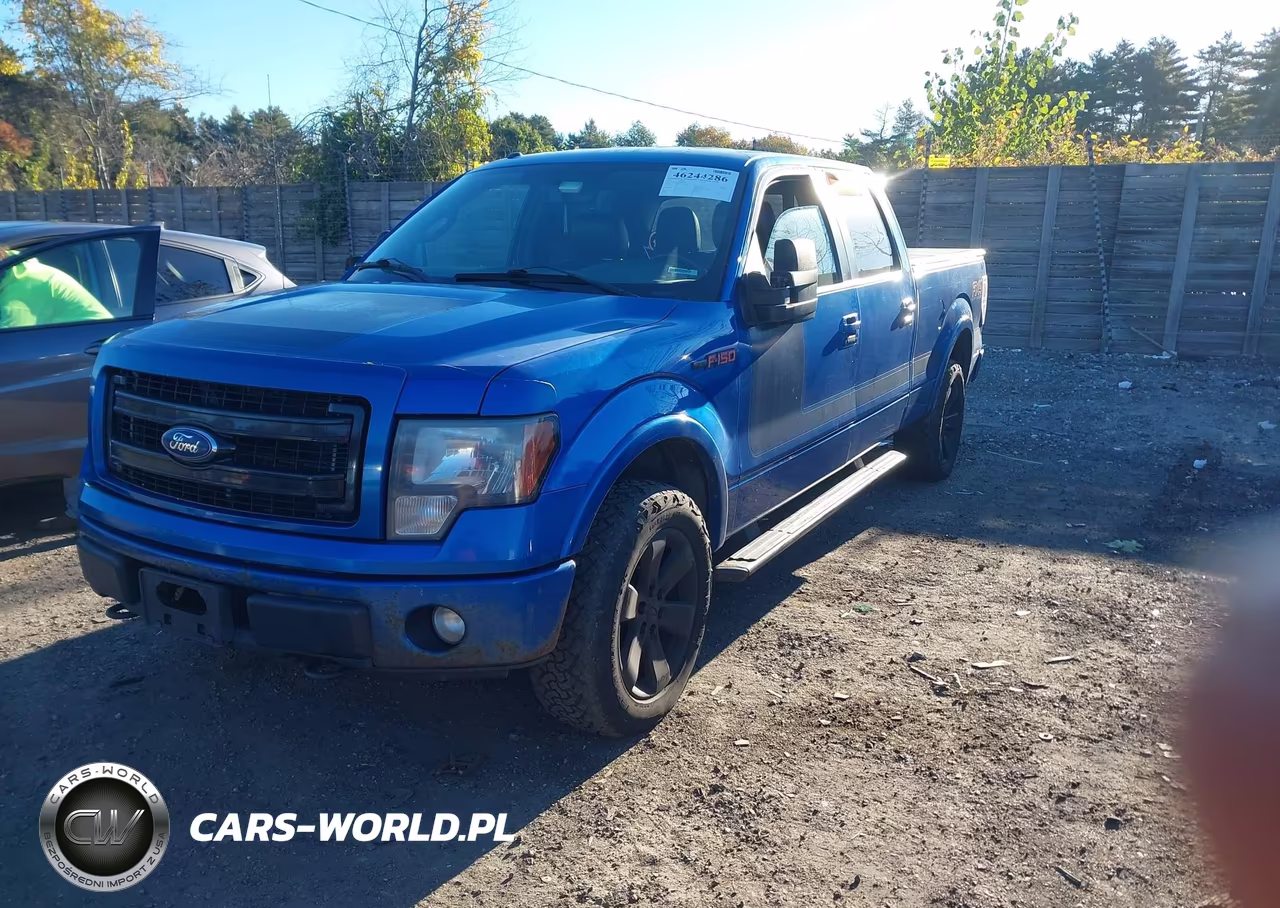 2013 Ford F-150 Fx4 VIN:1FTFW1EF7DFD28563 - 2