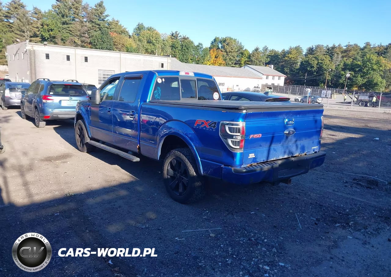 2013 Ford F-150 Fx4 VIN:1FTFW1EF7DFD28563 - 3