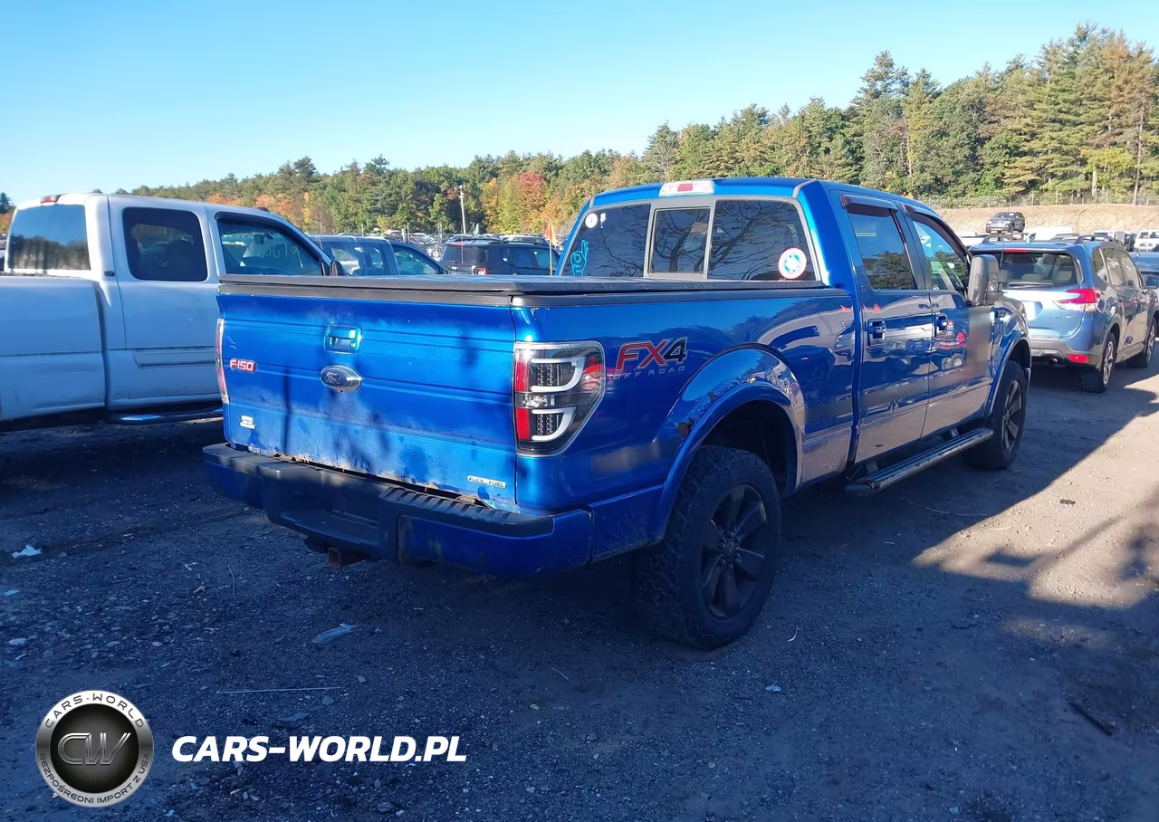 2013 Ford F-150 Fx4 VIN:1FTFW1EF7DFD28563 - 4