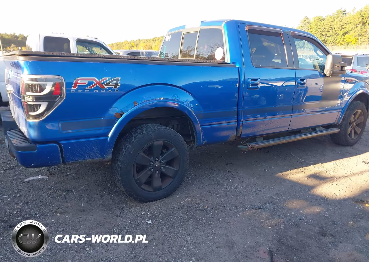 2013 Ford F-150 Fx4 VIN:1FTFW1EF7DFD28563 - 6