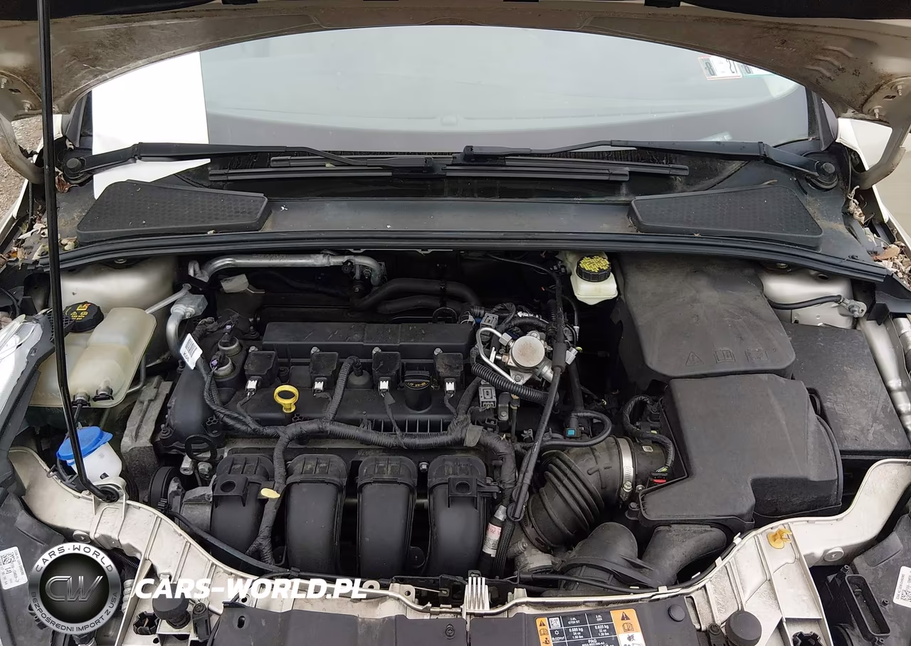 2017 Ford Focus Se VIN:1FADP3F27HL251024 - 10