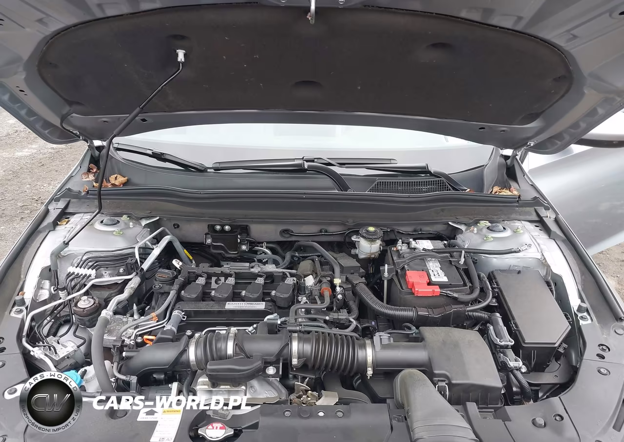 2019 Honda Accord Lx VIN:1HGCV1F13KA031861 - 10
