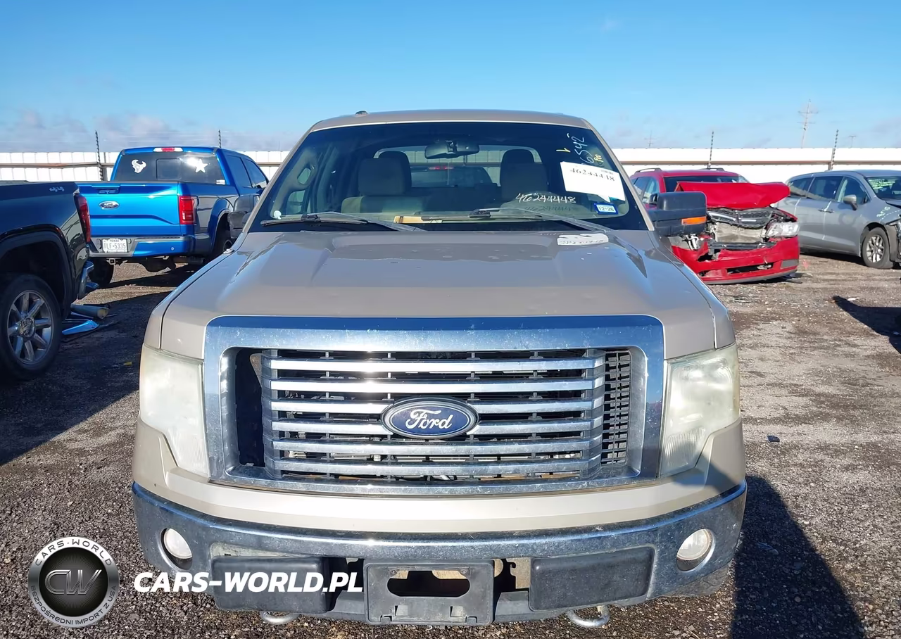 2010 Ford F-150 Fx4-Harley-Davidson-King Ranch-Lariat-Platinum-Xl-Xlt VIN:1FTFW1EV5AFD93155 - 12