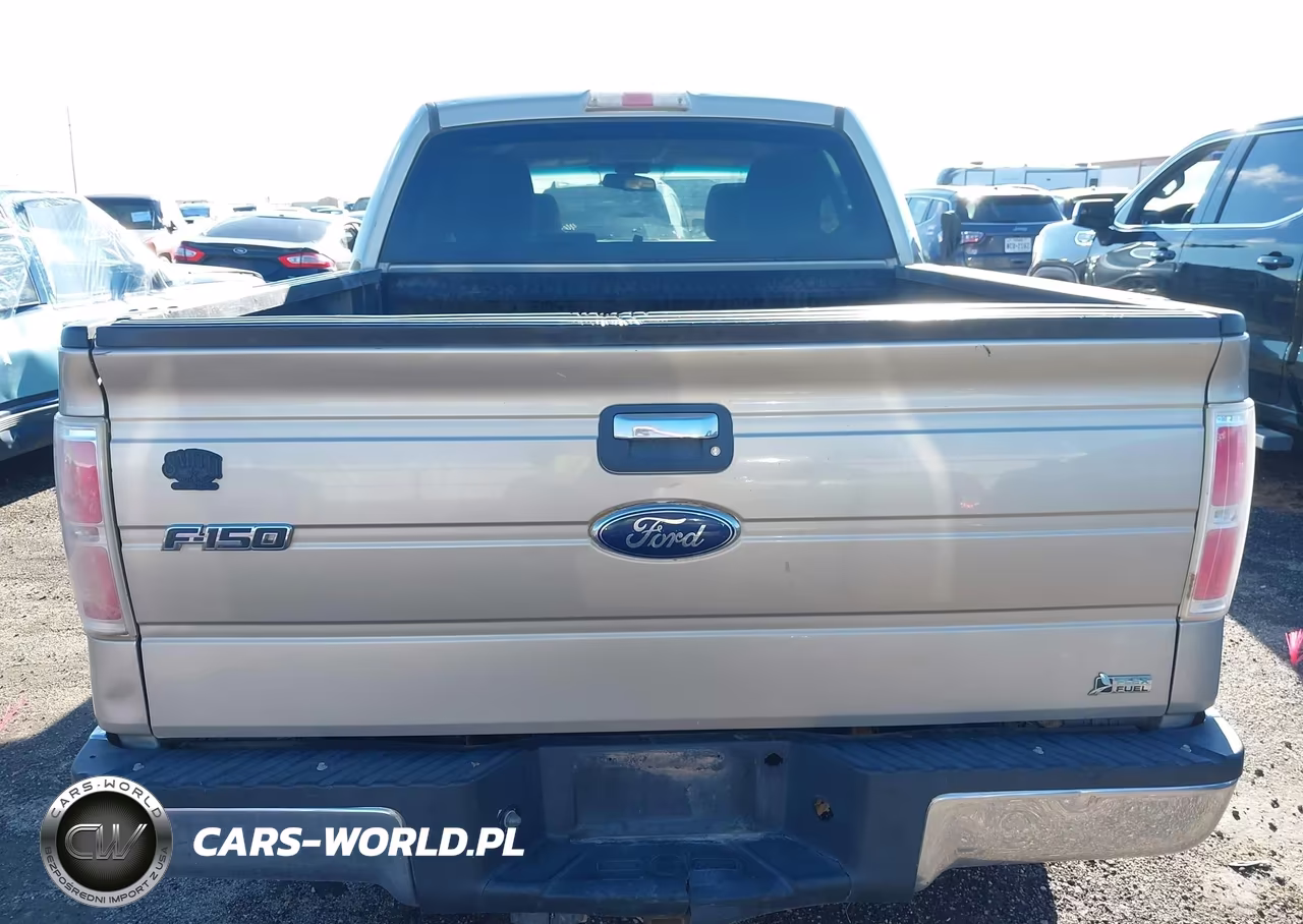 2010 Ford F-150 Fx4-Harley-Davidson-King Ranch-Lariat-Platinum-Xl-Xlt VIN:1FTFW1EV5AFD93155 - 16
