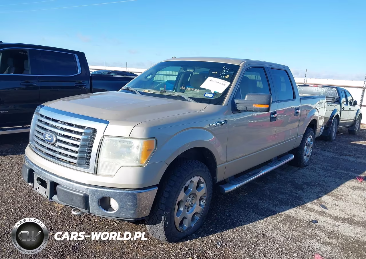 2010 Ford F-150 Fx4-Harley-Davidson-King Ranch-Lariat-Platinum-Xl-Xlt VIN:1FTFW1EV5AFD93155 - 2