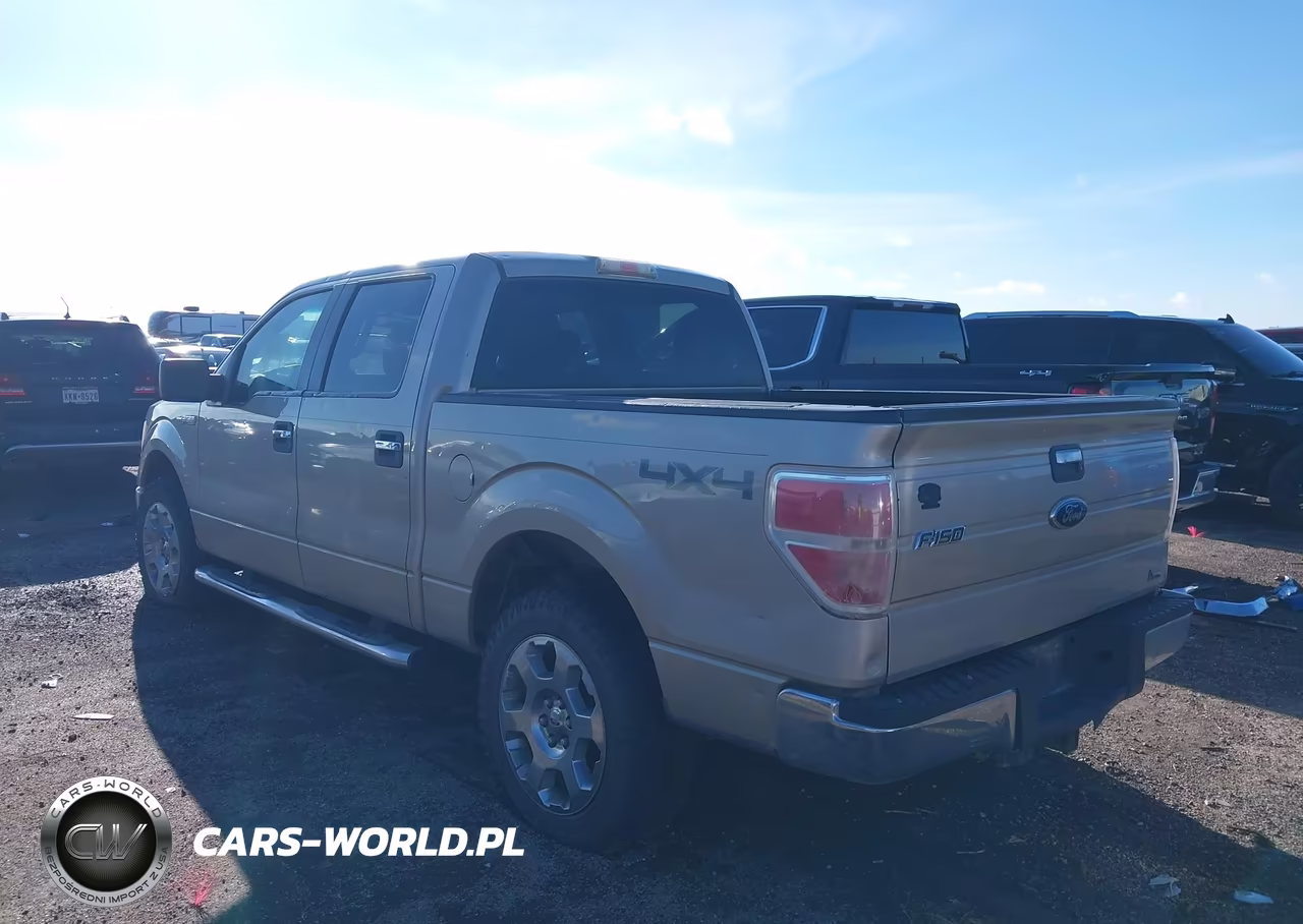 2010 Ford F-150 Fx4-Harley-Davidson-King Ranch-Lariat-Platinum-Xl-Xlt VIN:1FTFW1EV5AFD93155 - 3
