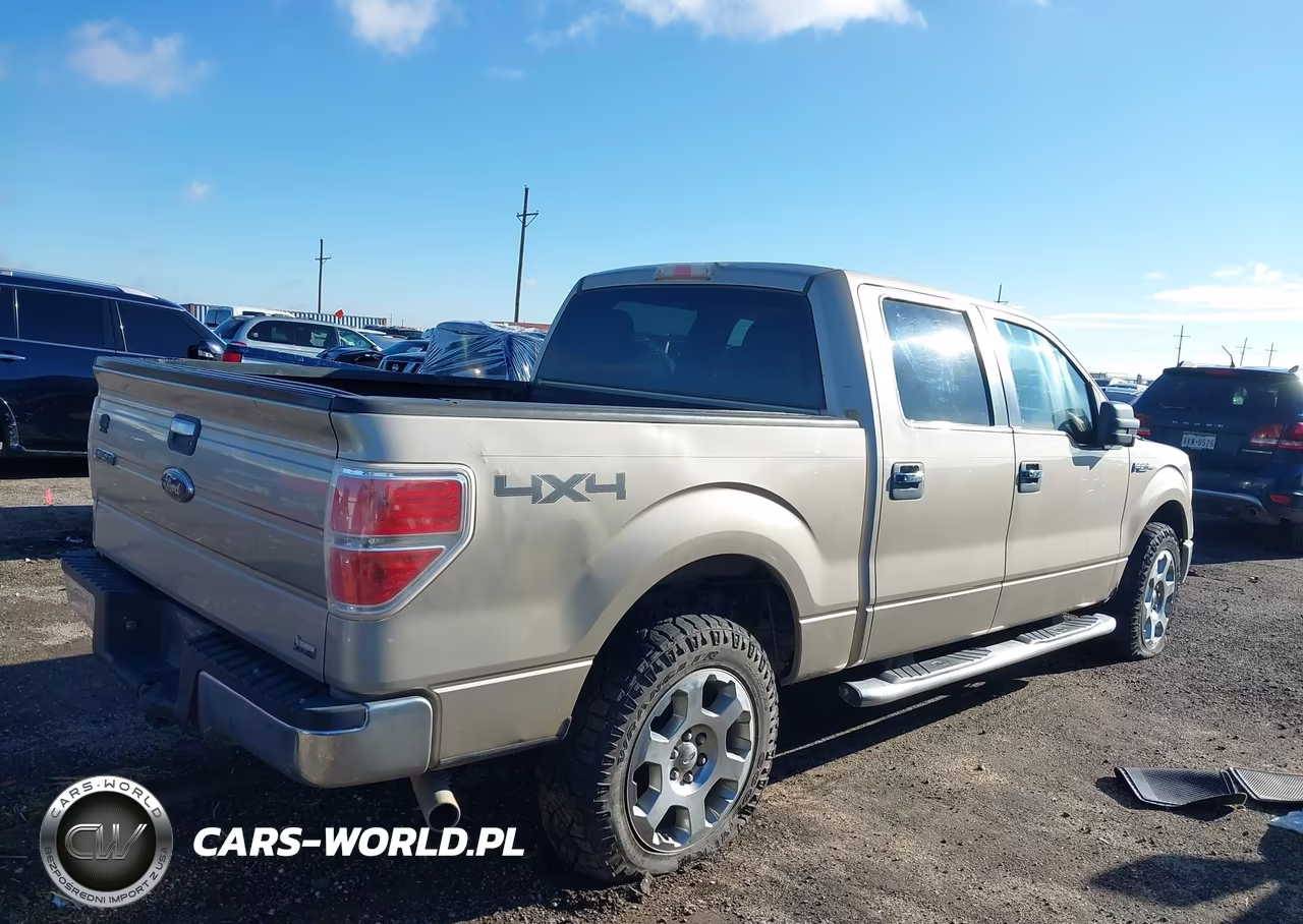 2010 Ford F-150 Fx4-Harley-Davidson-King Ranch-Lariat-Platinum-Xl-Xlt VIN:1FTFW1EV5AFD93155 - 4