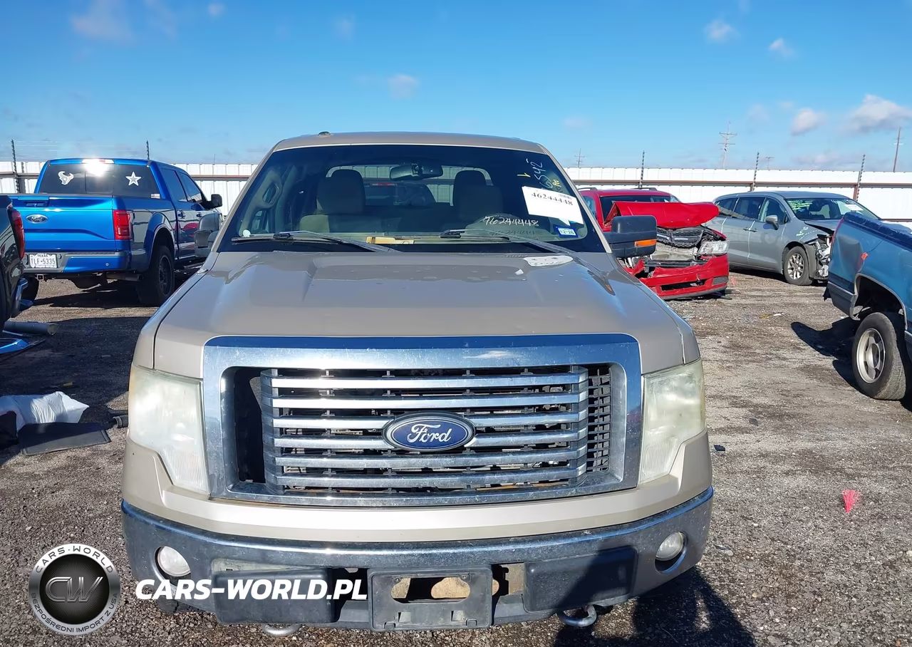 2010 Ford F-150 Fx4-Harley-Davidson-King Ranch-Lariat-Platinum-Xl-Xlt VIN:1FTFW1EV5AFD93155 - 6