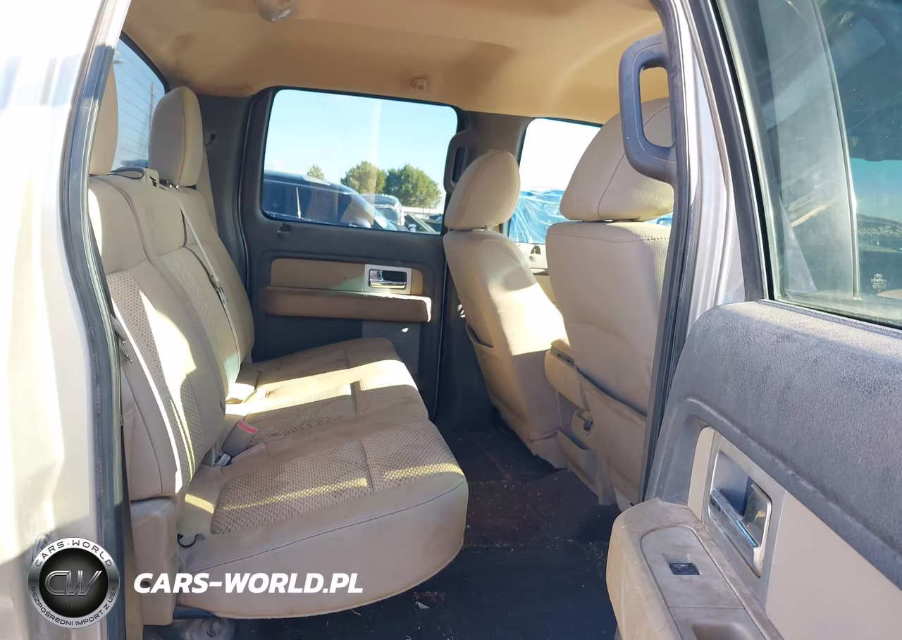 2010 Ford F-150 Fx4-Harley-Davidson-King Ranch-Lariat-Platinum-Xl-Xlt VIN:1FTFW1EV5AFD93155 - 8