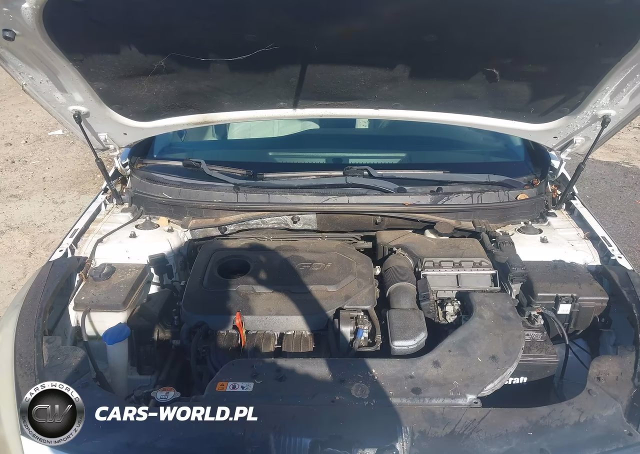 2017 Hyundai Sonata VIN:5NPE24AF4HH537382 - 10