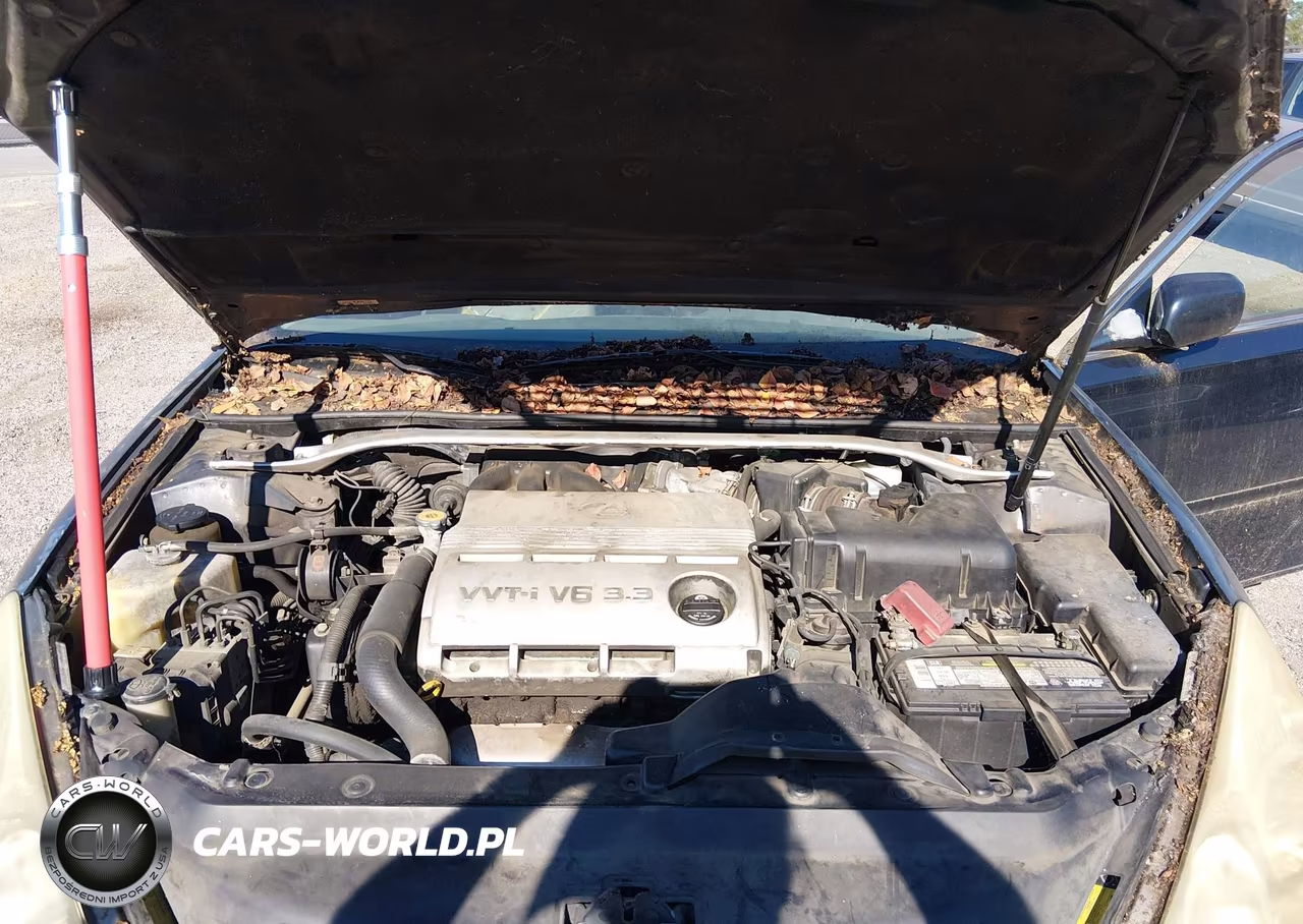 2005 Lexus Es 330 VIN:JTHBA30G555109700 - 10