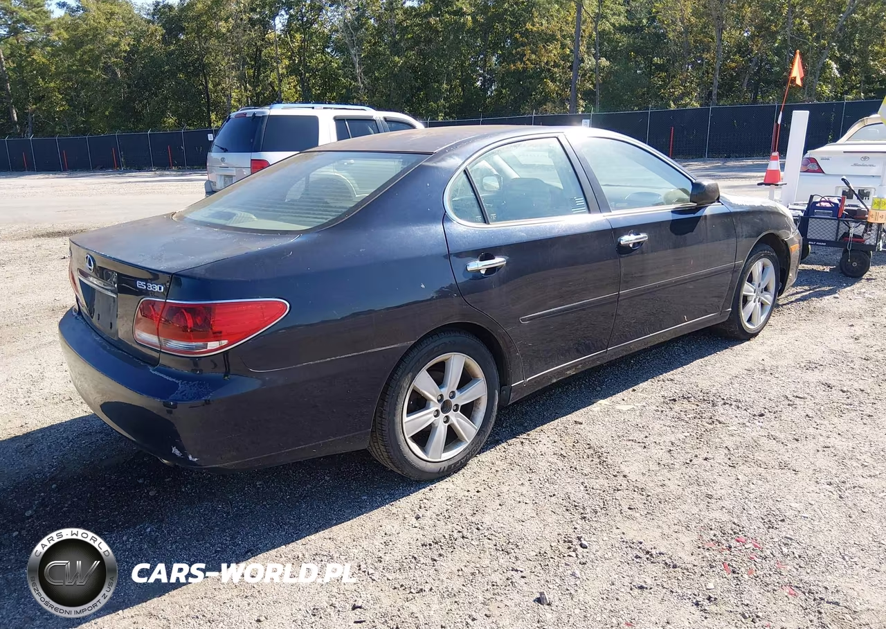 2005 Lexus Es 330 VIN:JTHBA30G555109700 - 4