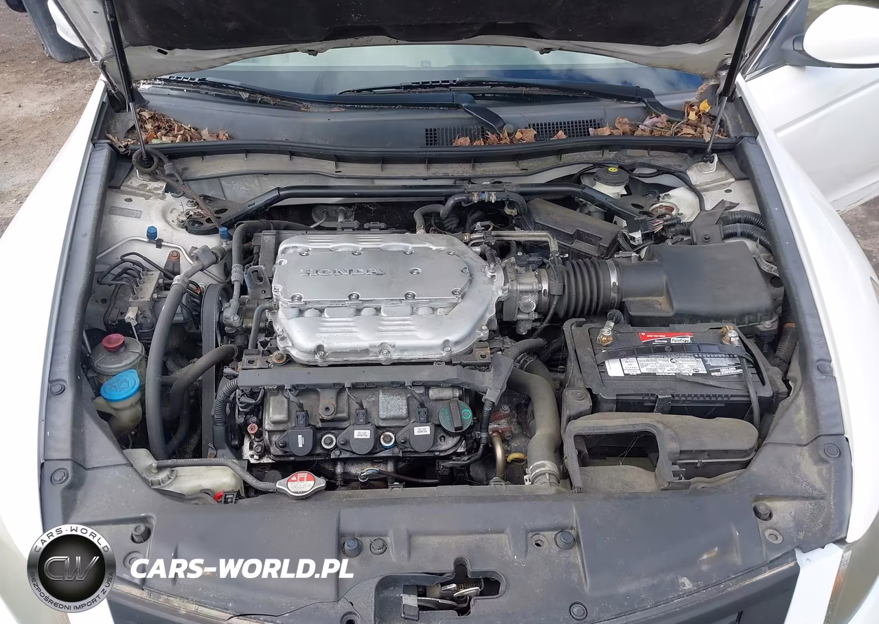 2010 Honda Accord 3.5 Ex-L VIN:1HGCP3F84AA001172 - 10