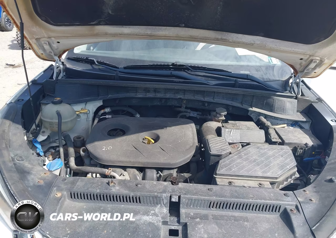 2017 Hyundai Tucson Se VIN:KM8J3CA44HU553541 - 10