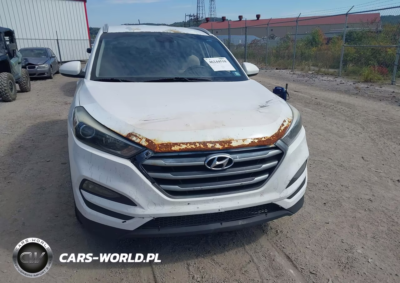 2017 Hyundai Tucson Se VIN:KM8J3CA44HU553541 - 12