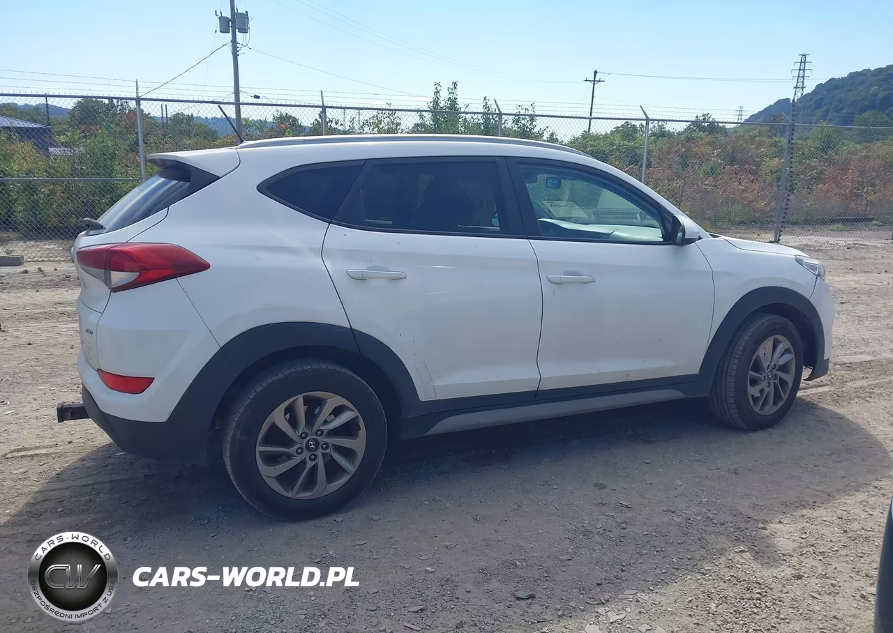 2017 Hyundai Tucson Se VIN:KM8J3CA44HU553541 - 13