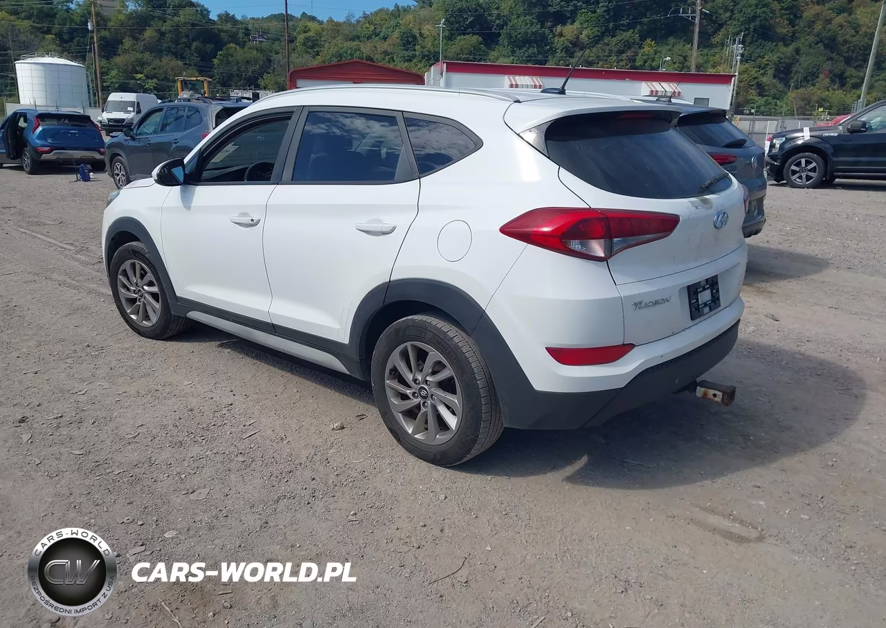 2017 Hyundai Tucson Se VIN:KM8J3CA44HU553541 - 3