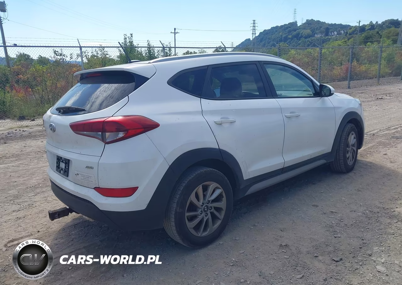 2017 Hyundai Tucson Se VIN:KM8J3CA44HU553541 - 4