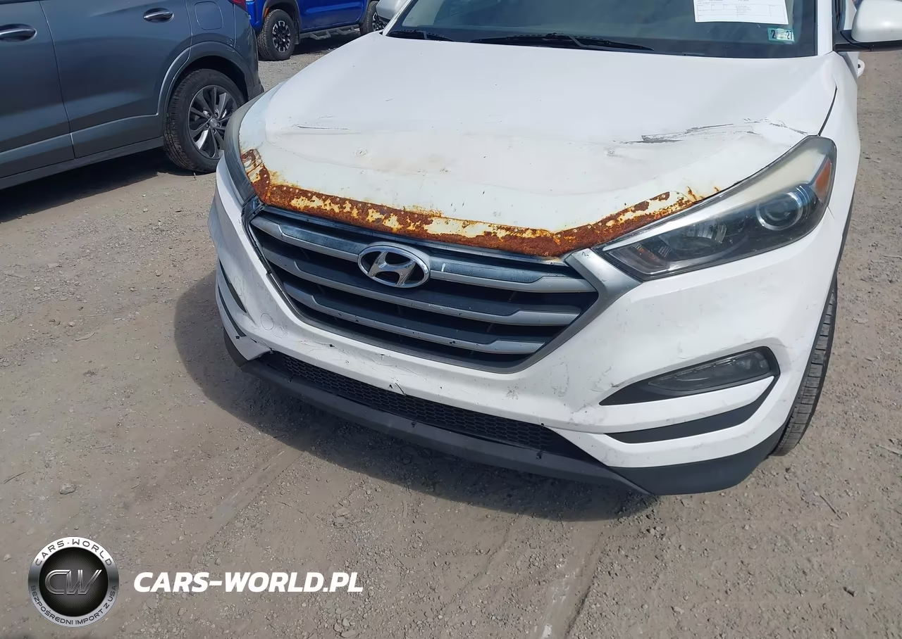 2017 Hyundai Tucson Se VIN:KM8J3CA44HU553541 - 6