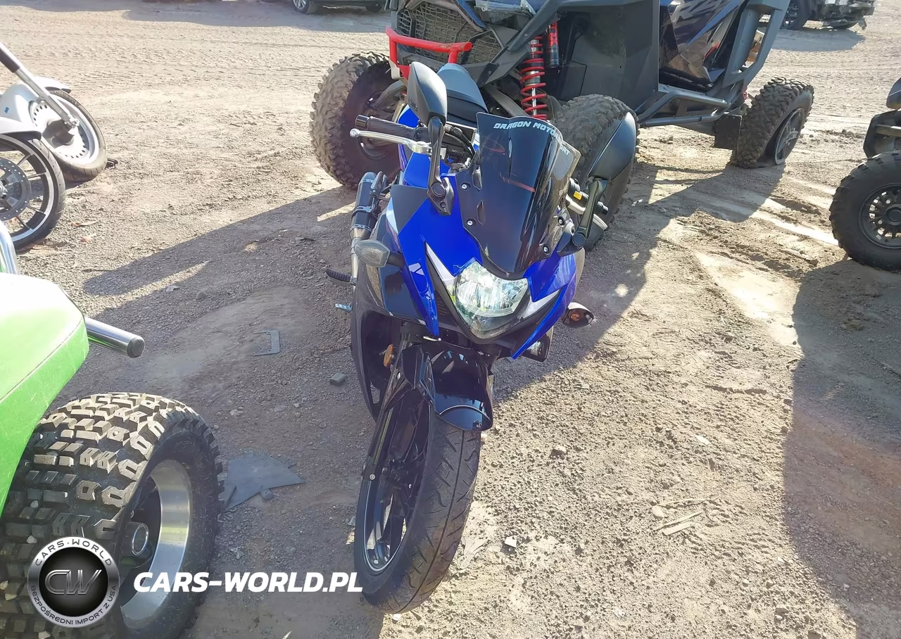 2022 Suzuki Gsx250R VIN:LC6DN11A2N1100078 - 5
