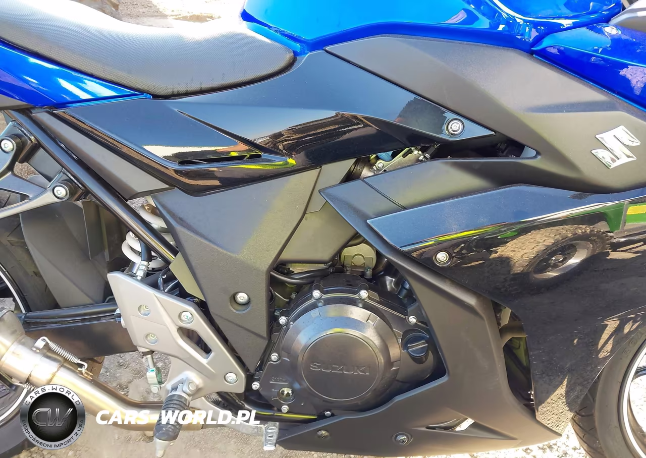 2022 Suzuki Gsx250R VIN:LC6DN11A2N1100078 - 8