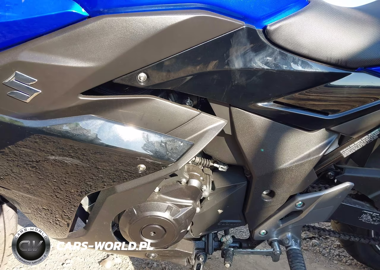 2022 Suzuki Gsx250R VIN:LC6DN11A2N1100078 - 9