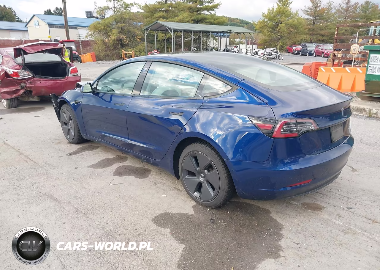 2022 Tesla Model 3 Long Range Dual Motor All-Wheel Drive VIN:5YJ3E1EB2NF102097 - 3