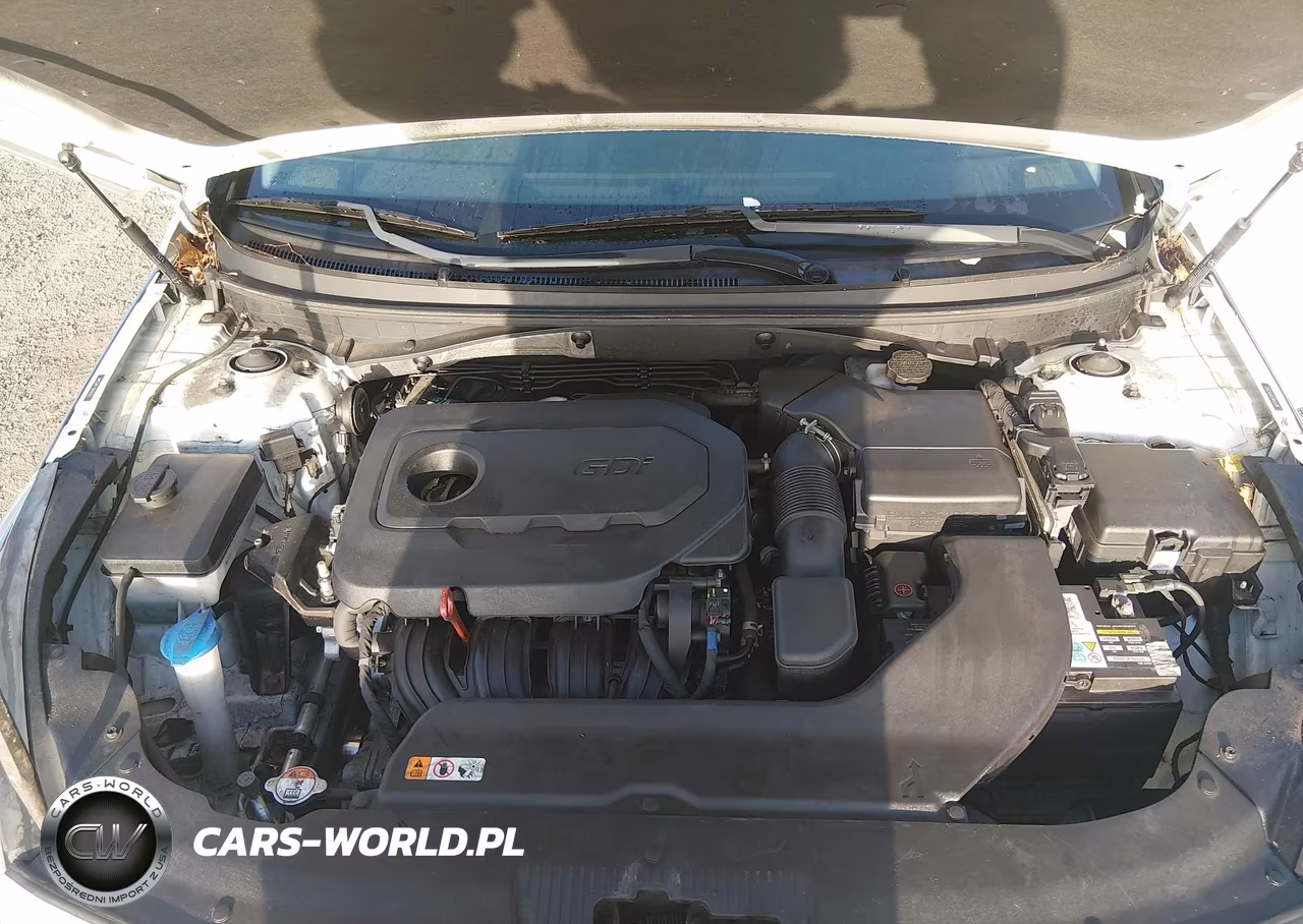 2017 Hyundai Sonata Sport VIN:5NPE34AF3HH543512 - 10