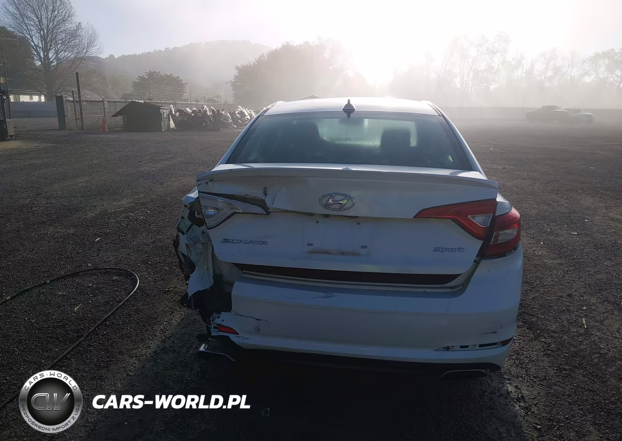 2017 Hyundai Sonata Sport VIN:5NPE34AF3HH543512 - 17