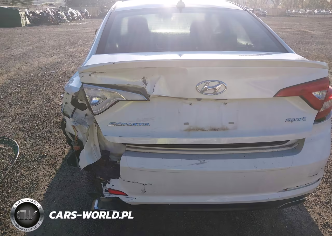 2017 Hyundai Sonata Sport VIN:5NPE34AF3HH543512 - 18