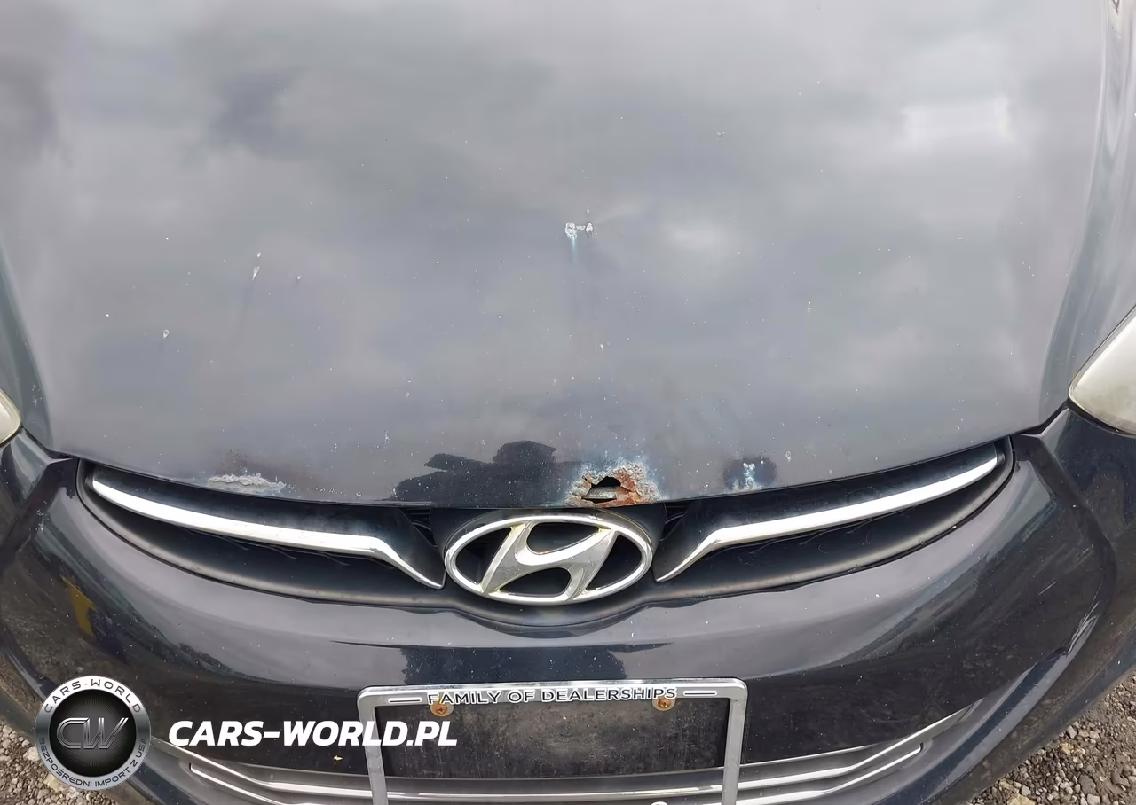 2012 Hyundai Elantra Limited VIN:5NPDH4AE7CH115231 - 11