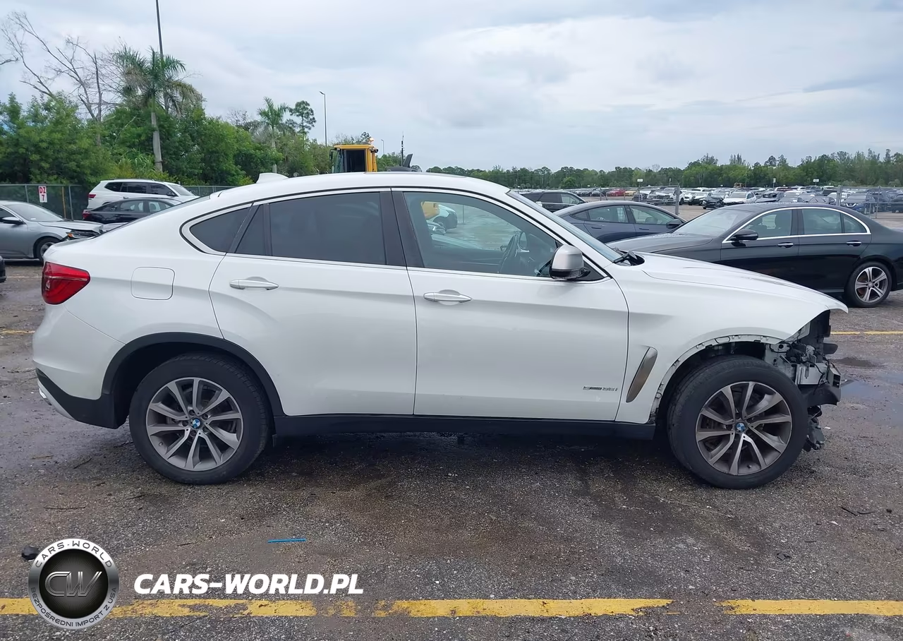 2018 BMW X6 Sdrive35I VIN:5UXKU0C51J0G81227 - 14