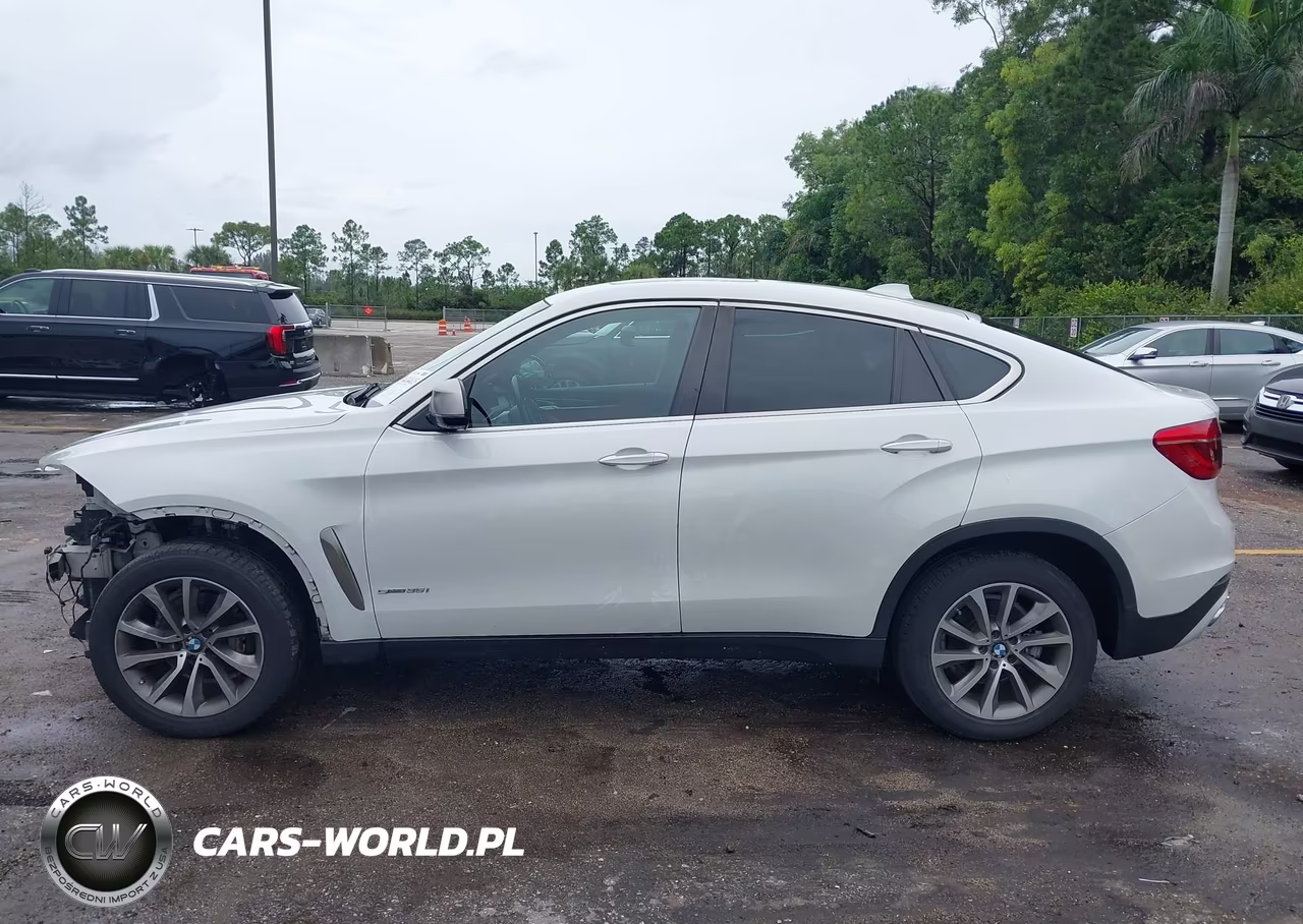 2018 BMW X6 Sdrive35I VIN:5UXKU0C51J0G81227 - 15