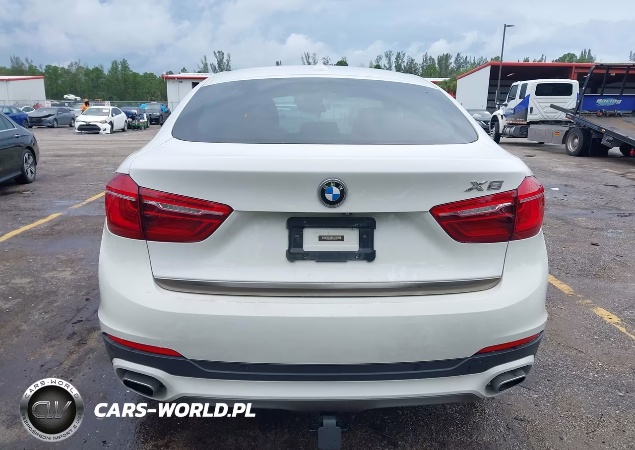 2018 BMW X6 Sdrive35I VIN:5UXKU0C51J0G81227 - 17