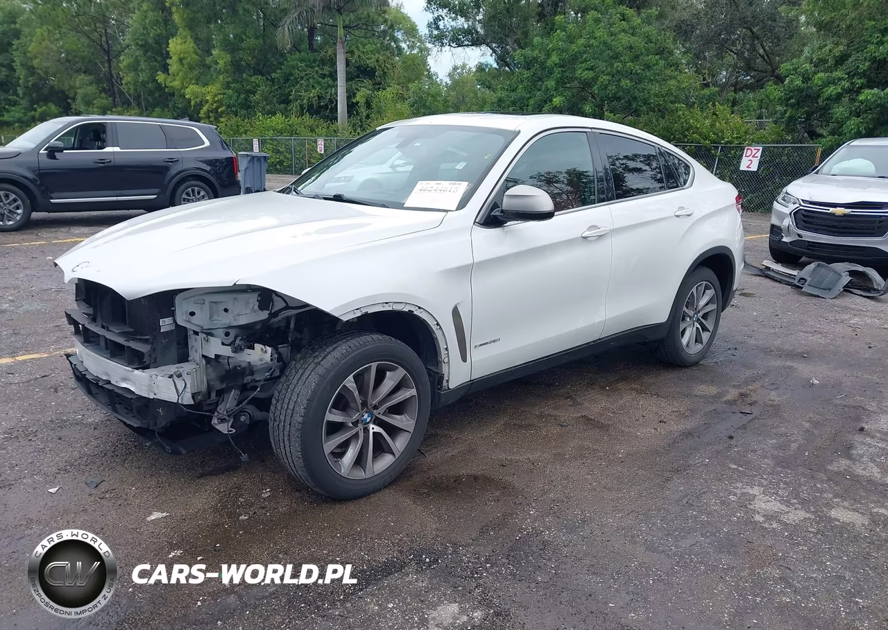 2018 BMW X6 Sdrive35I VIN:5UXKU0C51J0G81227 - 2