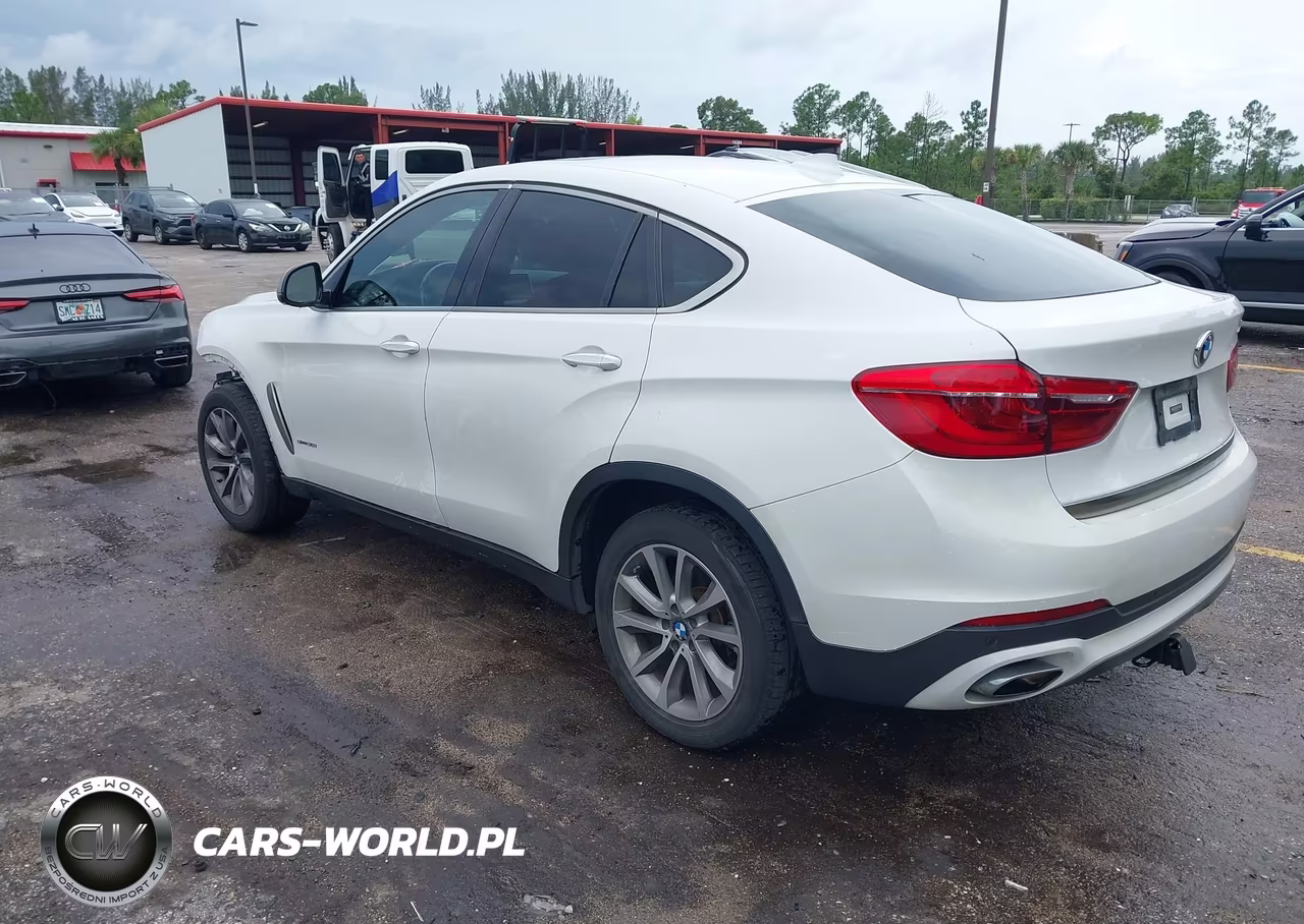2018 BMW X6 Sdrive35I VIN:5UXKU0C51J0G81227 - 3