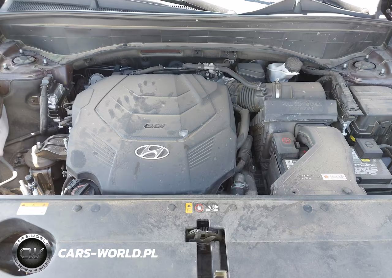 2021 Hyundai Palisade Calligraphy VIN:KM8R74HE7MU298700 - 10