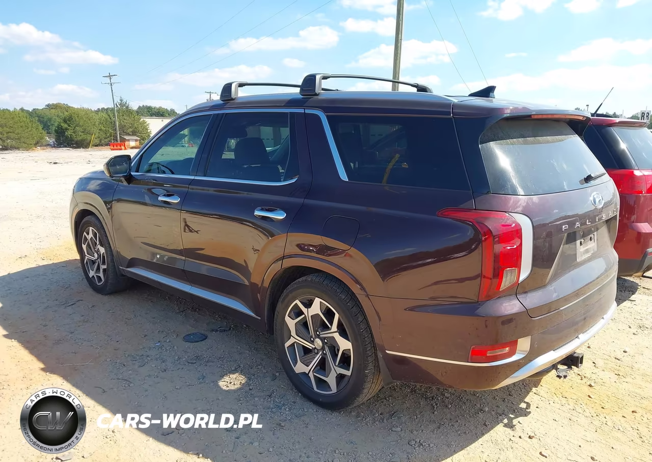 2021 Hyundai Palisade Calligraphy VIN:KM8R74HE7MU298700 - 3